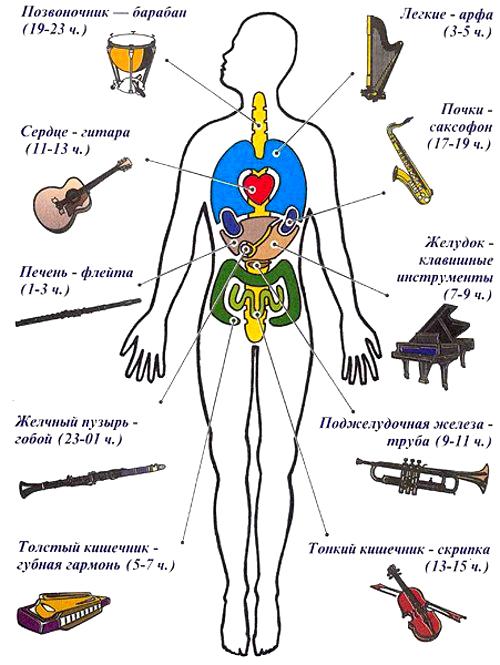 329-03-mental-development-of-child-and-music