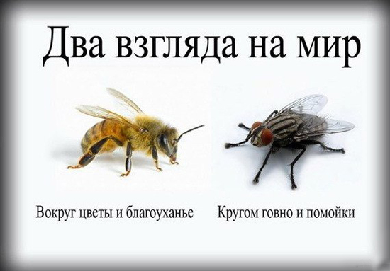 Осуждение и видение мира Осуждение и видение мира
