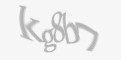 Защитный код
